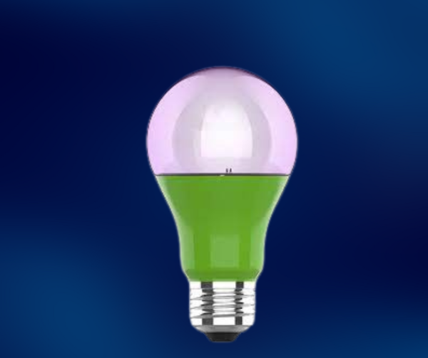 B120 PLANT BULB