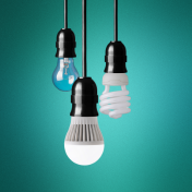 Bulb